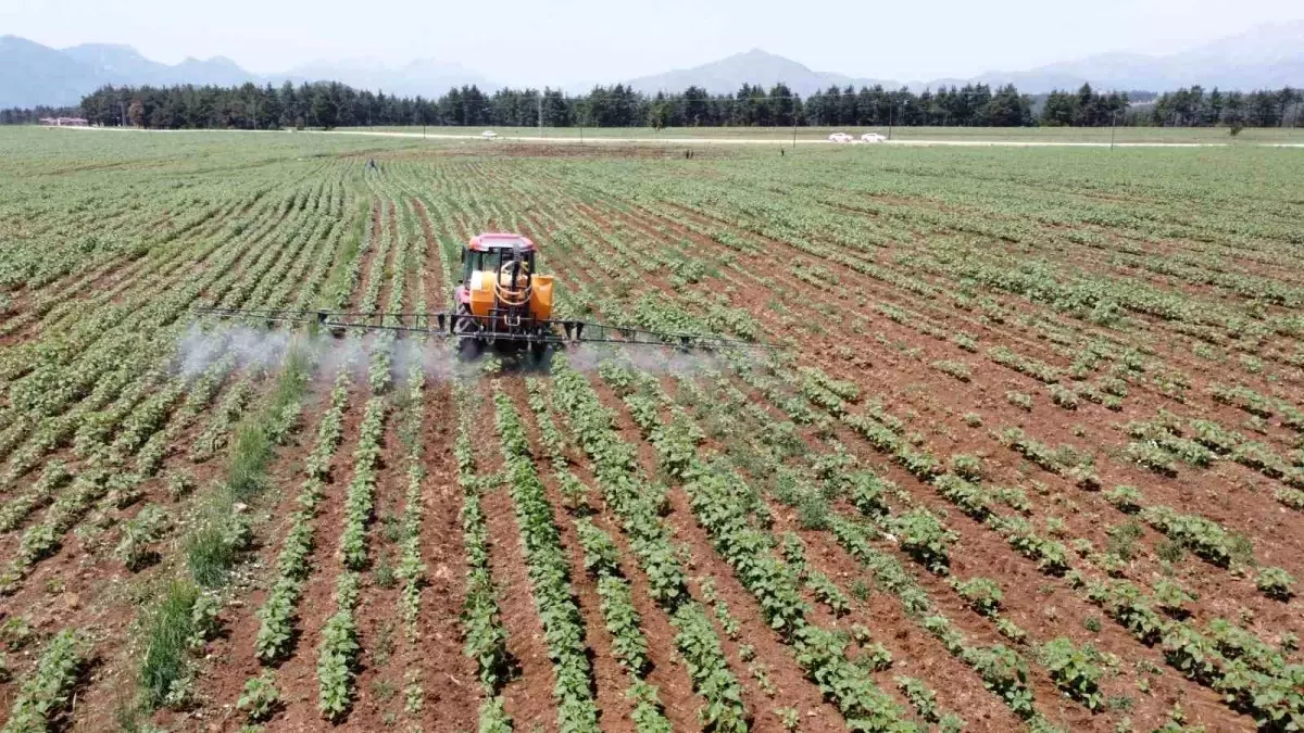 elita gida surdurulebilir tarimda basari elde etti yqwUnmlE