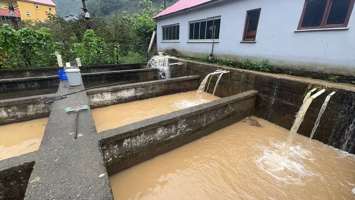 giresunda saganak heyelanlar ve su baskinlari WnxA9SN8