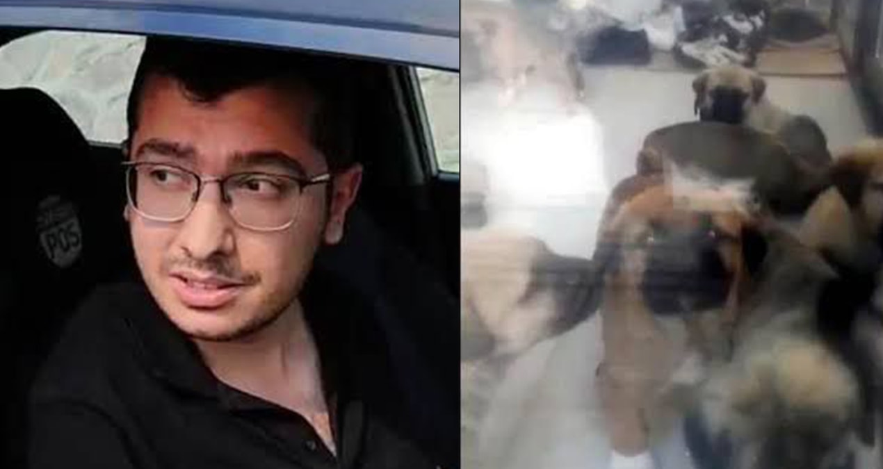 sahiplendigi kopekleri olduren doktor tahliyesiniistedi M1Wg1YcV