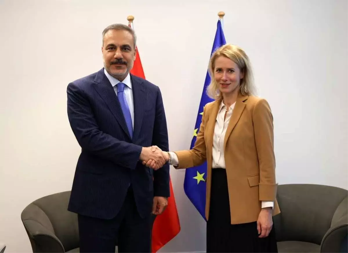 hakan fidan luksemburgda h6zlagxP.jpg