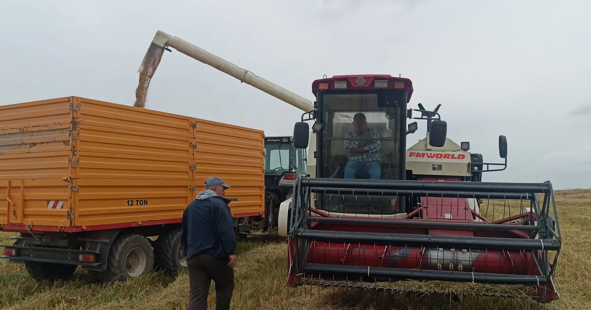 tarimda devrim dunyada ilk damlama sulama ile celtik uretimi q81HOCss