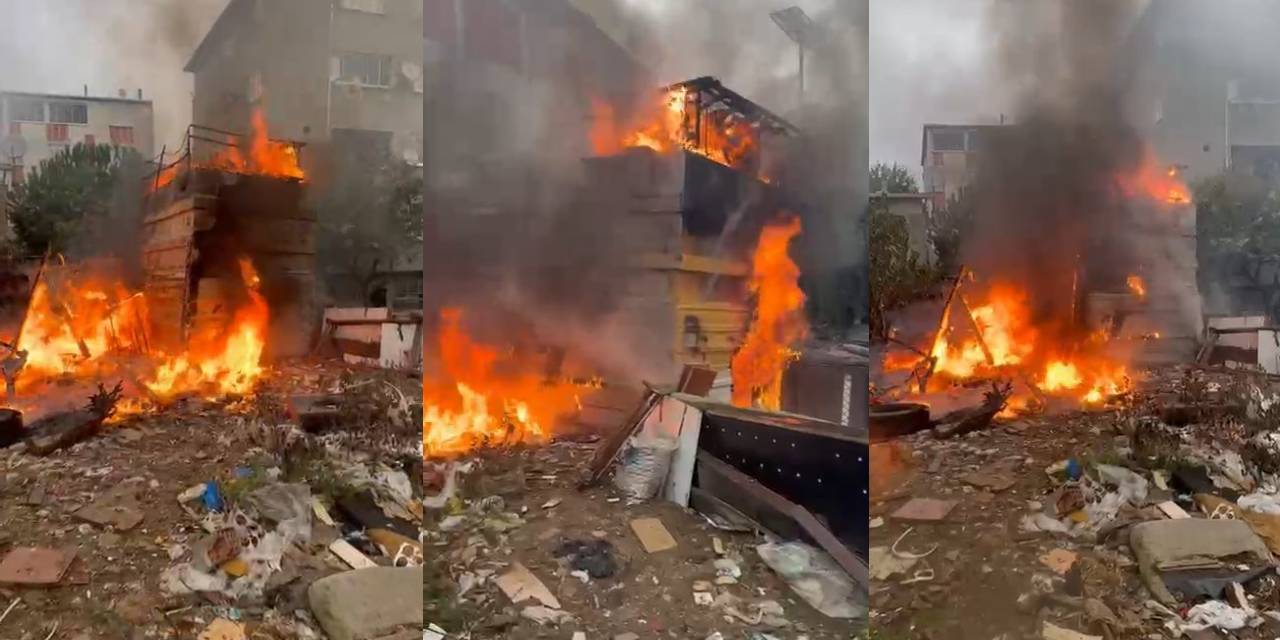 cocuklarin oyunu yangina neden oldu 50 hayvan oldu BjdW9NAN.jpg