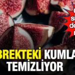 İncir: Cilt ve Sindirim Sağlığını Destekleyen Doğal Bir Mucize