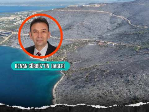 Mugla valisi idris akbiyik unlu isimlerin de evlerinin hasar gordugu son yanginda yanan ormanlik yZzJKV9W